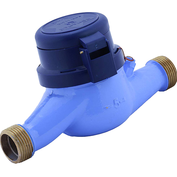 Water Flow Meter (Cold/Hot Water Meters, Domestic/Industrial Meters)